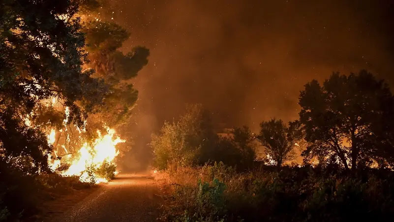 رياح عاتية تؤجج حريق الغابات في اليونان
