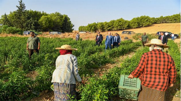 حملة توعية لتحسين ظروف العمل والمعيشة للنساء الريفيات وأصحاب العمل في تونس