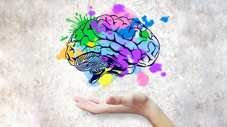 تحديد أصل الإبداع في الدماغ