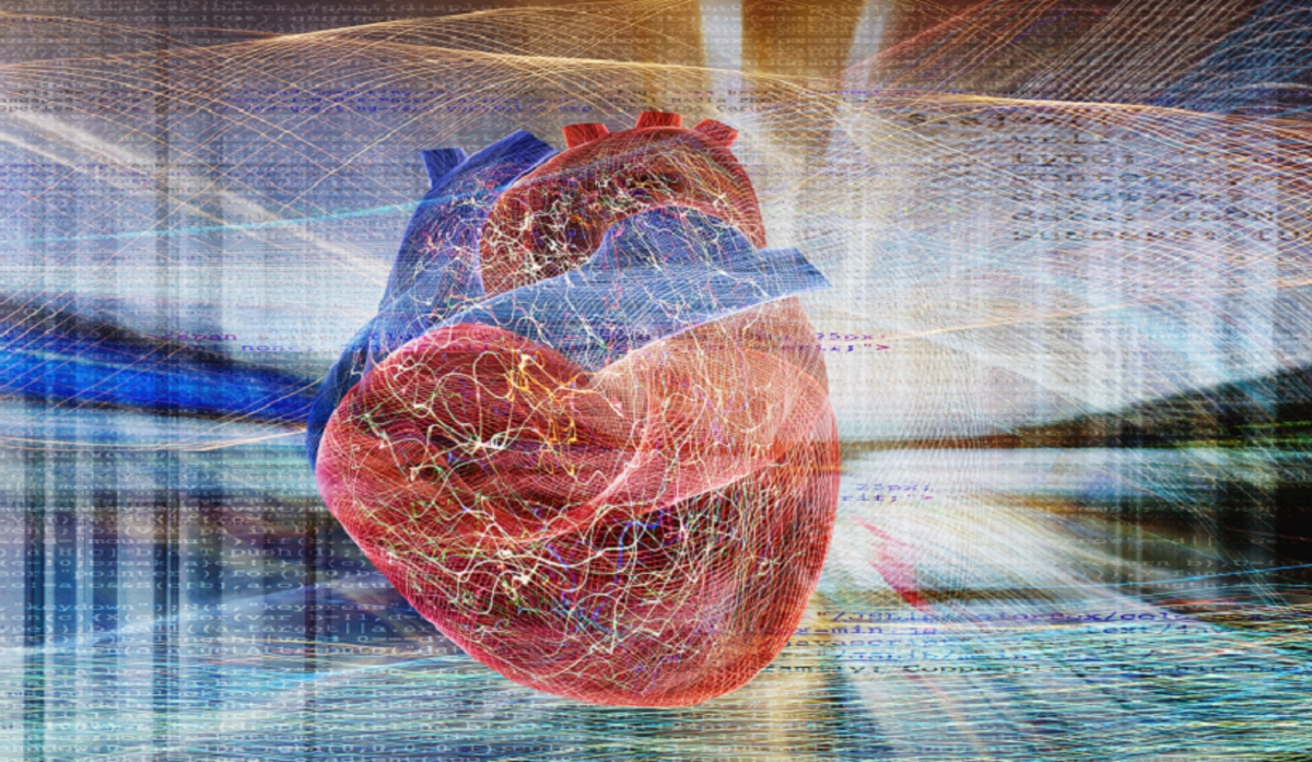 فيديو مثير يكشف الفرق بين القلبيين السليم والمريض