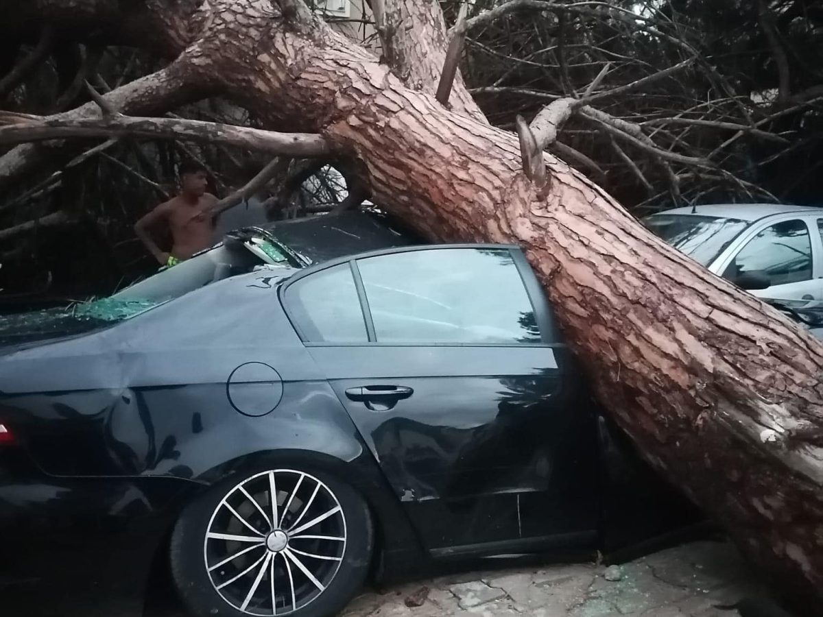 زوبعة نابل.. خبير يكشف خفايا ما حدث